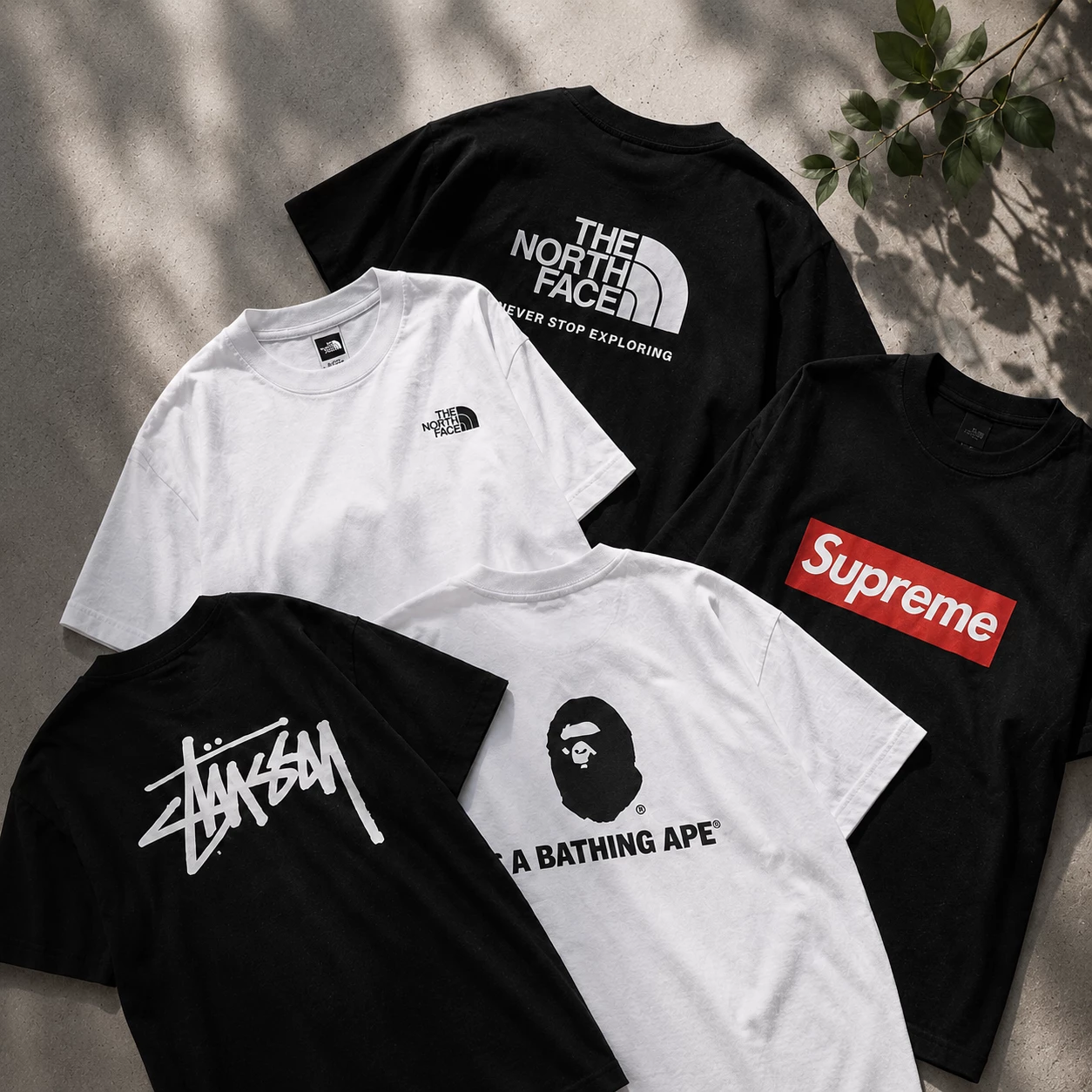 collection-banner-image
